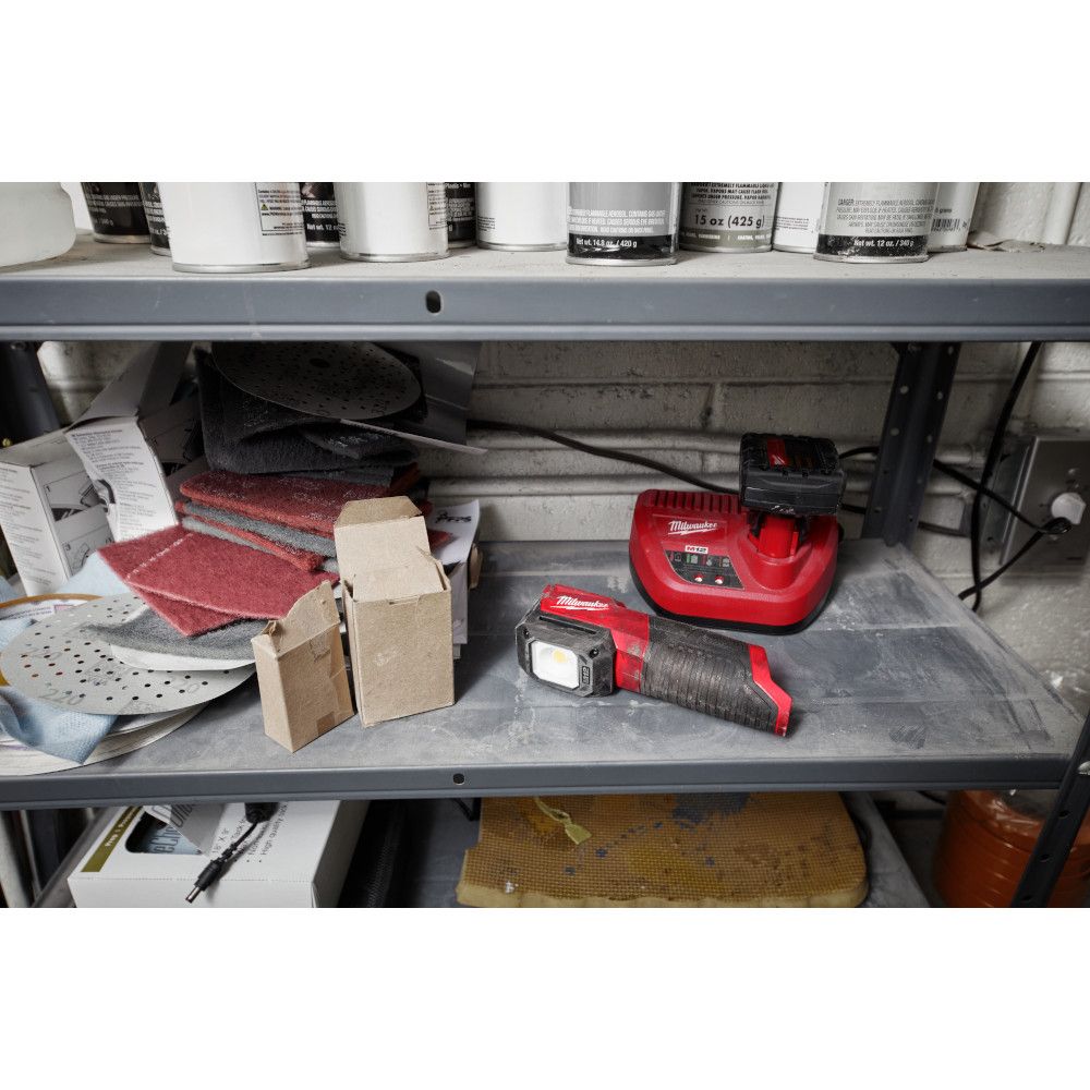 Milwaukee M12 Paint and Detailing Color Match Light (Tool Only)