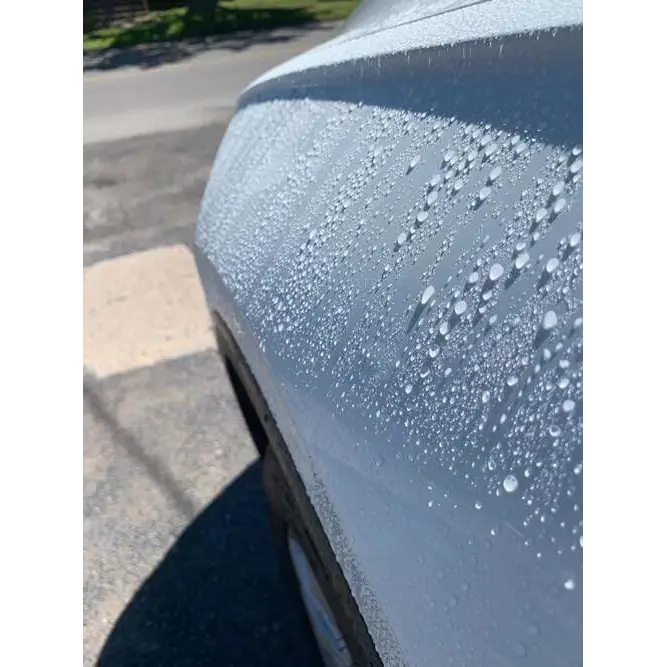 Collinite Paint Protection 16 oz Collinite 845 Insulator Wax