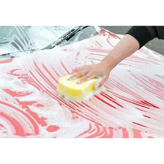 Soft 99 Vehicle Washing & Glass Cleaning Soft 99 Wash Sponge Pro